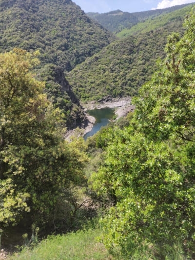 IMG-20240527-WA0005