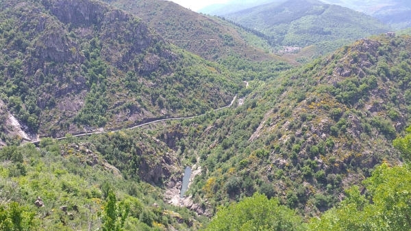 IMG-20240527-WA0007