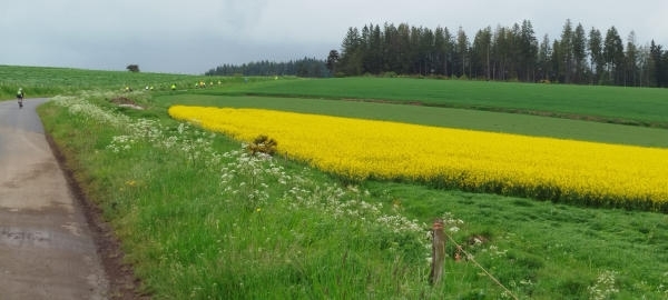 IMG-20240527-WA0024