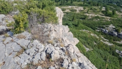 IMG-20240611-WA0007