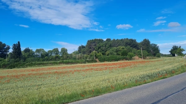 IMG-20240530-WA0006