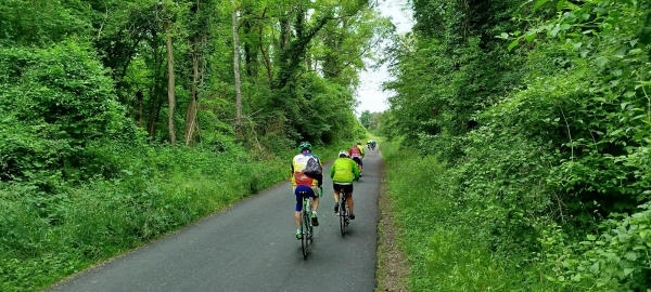IMG-20240531-WA0187