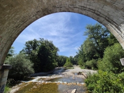 IMG-20240618-WA0010