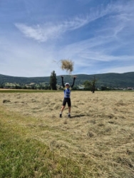 IMG-20240618-WA0011
