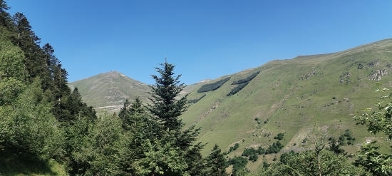IMG20260623102539